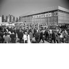 stefan-kanchev-foto07